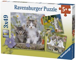 Ravensburger puzzle chat - 3x49 pièces - puzzle animaux pour enfants