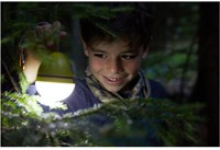 HABA Terra Kids - Lampe de camping-2