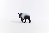 Schleich Wild Life Tapir - Figurine de jeu - Jouet pour enfants 14850-3
