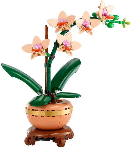 LEGO Botanicals set de construction Mini Orchidée - fleurs décoratives-2