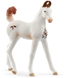 Schleich Horse Club Poulain Marwari - Figurine Cheval - Animaux