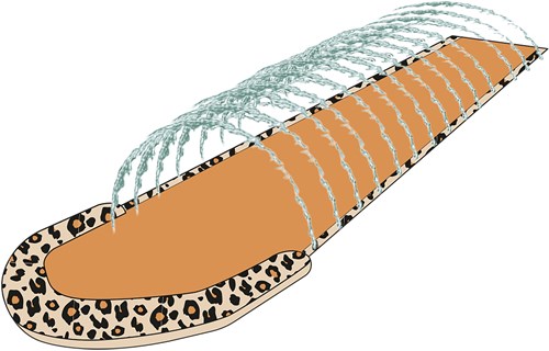 Swim Essentials toboggan aquatique beige léopard - arroseur gonflable-2