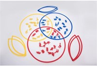 TickiT anneaux de tri éducatifs - 25cm - jouet coloré-2
