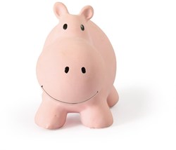 Tikiri : MON PREMIER SAFARIUS / NIJLPAARD