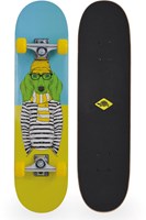 Schildkröt skateboard débutant vert 31 pouces double kick grip