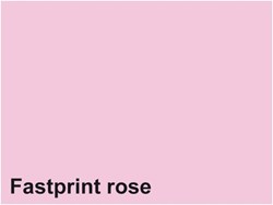 Quantore papier à copier A4 rose 160g FSC label écologique imprimante