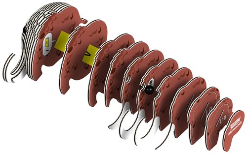 Eugy puzzle 3D mammouth - jouet éducatif figurine animale-3