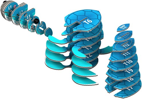 Eugy puzzle 3D tortue - kit animal en carton écologique-3