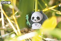 Eugy puzzle 3D - Panda kit de construction en carton jouet animal