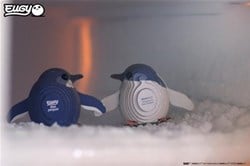 EUGY EUGY 3D - Pinguïn