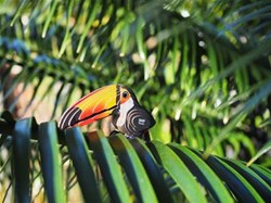 Eugy puzzle 3D toucan - kit créatif en carton pour enfants