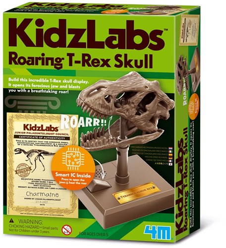 4M Crâne de T-Rex rugissant jouet - kit éducatif dinosaure à construire