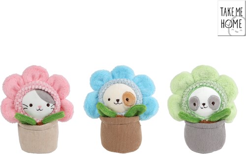 Take Me Home chat en peluche dans un pot 16cm - jouet mignon