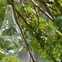 Esschert Design chasse-mouches verre transparent décoratif jardin-2