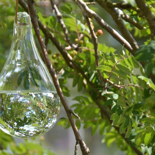 Esschert Design chasse-mouches verre transparent décoratif jardin-2