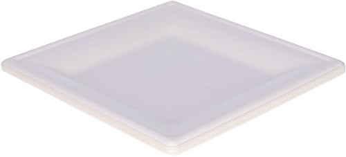 Assiettes jetables carrées canne à sucre 20cm blanc - lot de 8 assiettes écologiques