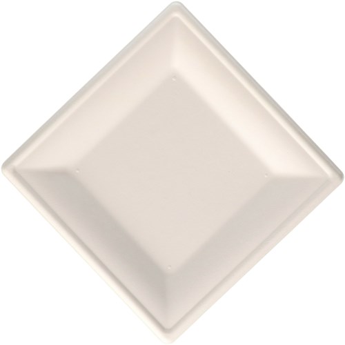 Assiettes jetables carrées canne à sucre 20cm blanc - lot de 8 assiettes écologiques-2