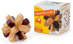 BRAIN PUZZLE 2