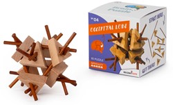 BRAIN PUZZLE 4