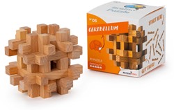 BRAIN PUZZLE 5