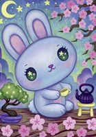 Heye puzzle Bunny Zen Garden 500 pièces - série Dreaming