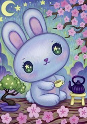 Heye puzzle Bunny Zen Garden 500 pièces - série Dreaming