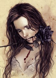 Heye Puzzle Dark Rose, Français 1000