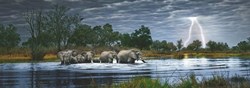 Heye Puzzle Herd Elephants 2000 Pan