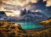 Heye puzzle Guanacos 1000 pièces paysage Alexander von Humboldt