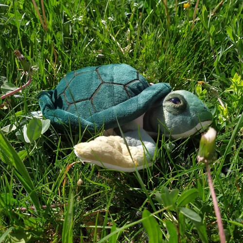 Tobar peluche tortue - Animigos World of Nature jouet en peluche-3