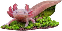 MAD CAPP puzzle Axolotl puzzle animal 100 pièces carton