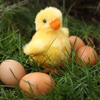 Rappa peluche poussin écologique jaune 10 cm jouet-2