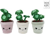 Plante peluche trèfle à câliner 19cm jouet multicolore