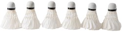 Engelhart 6 plumes Shuttles blanc en tube 4.5-5 grammes