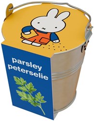 Nijntje jouet seau en zinc herbes Persil éducatif