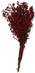 HBX natural living branches décoratives Pepperberries rouge plastique