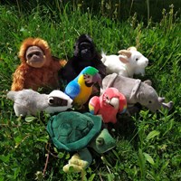 Tobar peluche tortue - Animigos World of Nature jouet en peluche-2