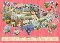 Cobble Hill puzzle 1000 pièces fleurs Amérique puzzle-2