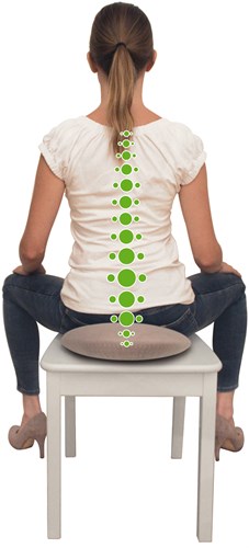 Schildkröt coussin d'assise Fit+ coussin d'équilibre ergonomique pour le dos et la posture-2