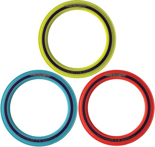 Aerobie anneau volant 25cm jouet d'extérieur multicolore
