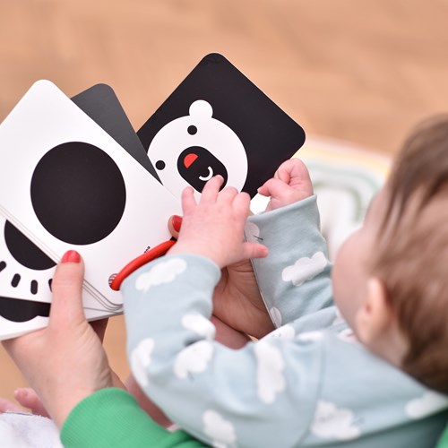 Banana Panda Banana Panda 10 Cartes Livre de bébé à contraste élevé avec 20 images / Livret de jouet pour bébé noir et blanc à partir de 0 mois - 9x14cm-3