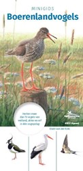 Harlekijn guide des oiseaux des champs - mini guide pour enfants et adultes