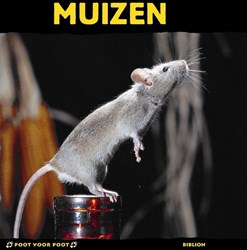 Harlekijn livre pour enfants souris éducatif royaume animal 8+ couverture rigide
