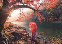Educa puzzle Lever du soleil rivière Katsura Japon 1000 pièces-2
