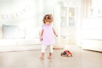 Shape-Sorter Ladybug-2