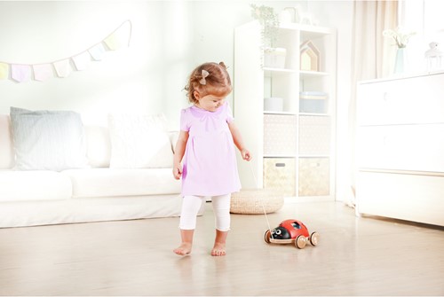Shape-Sorter Ladybug-2