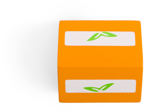 BigJigs brique de jus d'orange en bois pour cuisine jouet-3