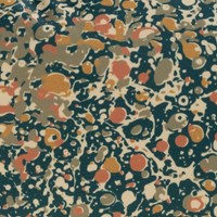 Wobbel Deck Original Midnight Flower-2