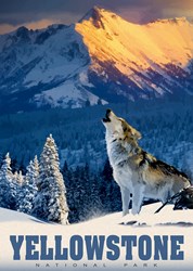 Alipson Puzzle Yellowstone Wolf - Puzzle 500 pièces pour adultes