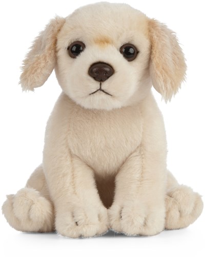 Living Nature peluche chiot Golden Retriever chien en peluche